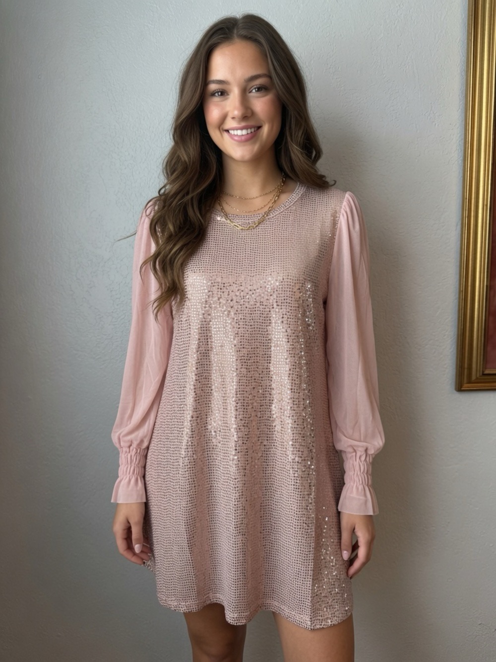 65~NWT Sequin Shimmer Dress Sheer Long-Sleeve in Blush XXL